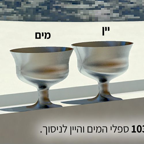 הקרבנות לחג הסוכות